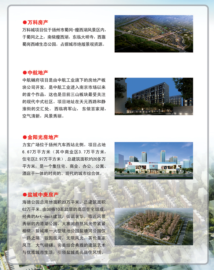 优秀项目1.jpg